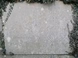 image of grave number 446366